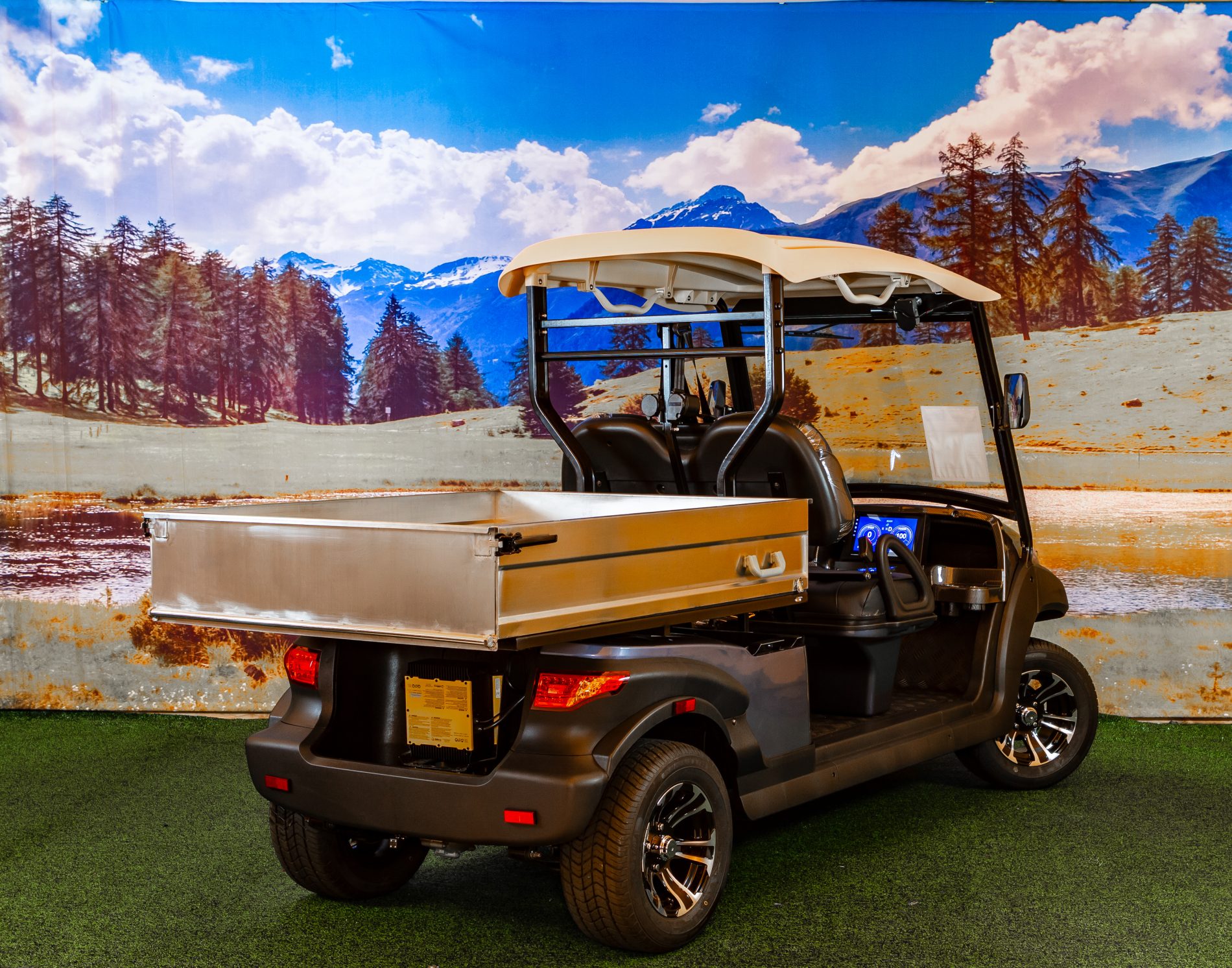 AMC 2024 Roswell AMCEG204AHCX03 AMC Golf Carts